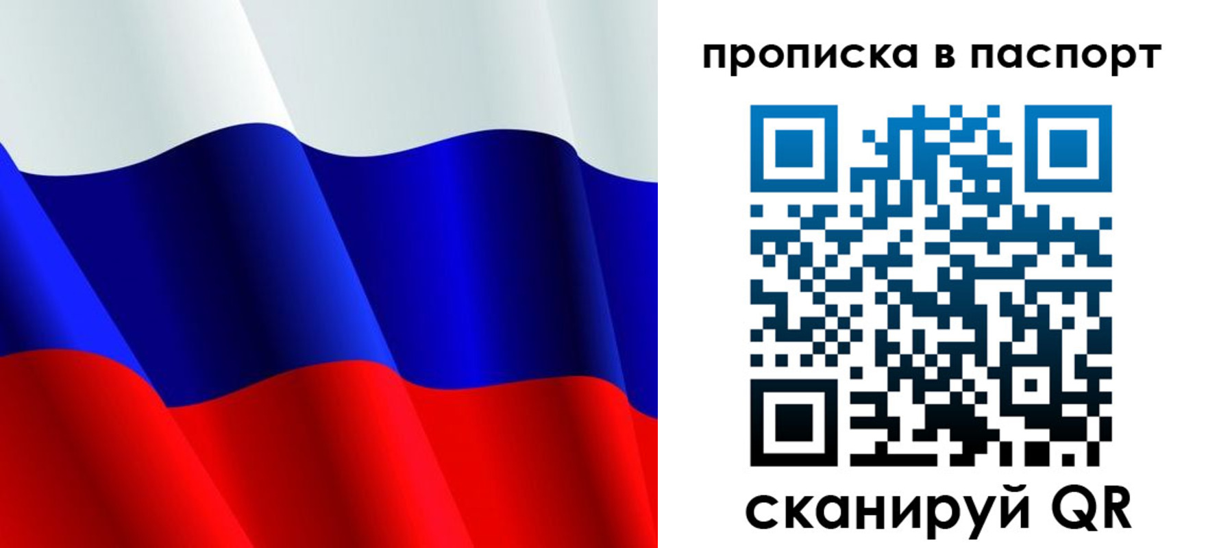 прописка в Сельцо
